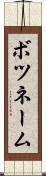 ボツネーム Scroll