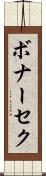 ボナーセク Scroll