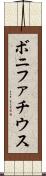 ボニファチウス Scroll