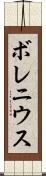 ボレニウス Scroll