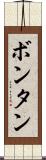 ボンタン Scroll