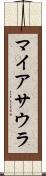マイアサウラ Scroll
