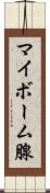 マイボーム腺 Scroll