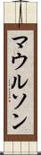 マウルソン Scroll