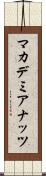 マカデミア・ナッツ Scroll