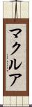 マクルア Scroll