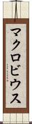 マクロビウス Scroll