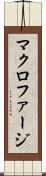 マクロファージ Scroll