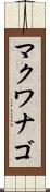 マクワナゴ Scroll