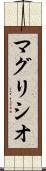 マグリシオ Scroll