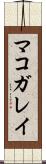 マコガレイ Scroll