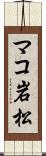 マコ岩松 Scroll