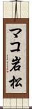 マコ岩松 Scroll