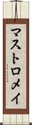 マストロメイ Scroll