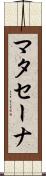 マタセーナ Scroll