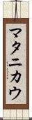 マタニカウ Scroll