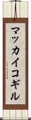 マッカイコギル Scroll