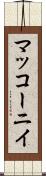 マッコーニイ Scroll