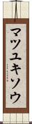 マツユキソウ Scroll