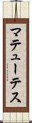 マテューテス Scroll