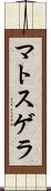 マトスゲラ Scroll