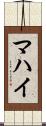 マハイ Scroll