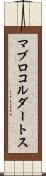 マブロコルダートス Scroll
