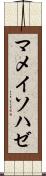 マメイソハゼ Scroll