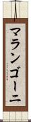 マランゴーニ Scroll