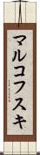 マルコフスキ Scroll