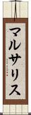 マルサリス Scroll