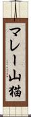 マレー山猫 Scroll