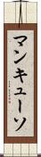 マンキューソ Scroll