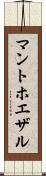 マントホエザル Scroll