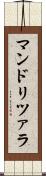 マンドリツァラ Scroll
