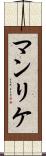 マンリケ Scroll