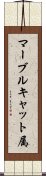 マーブルキャット属 Scroll
