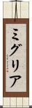 ミグリア Scroll