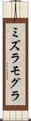 ミズラモグラ Scroll