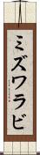 ミズワラビ Scroll