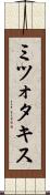 ミツォタキス Scroll