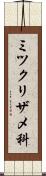 ミツクリザメ科 Scroll
