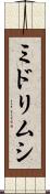 ミドリムシ Scroll
