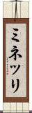 ミネッリ Scroll