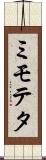 ミモテタ Scroll