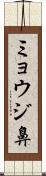 ミョウジ鼻 Scroll
