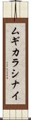 ムギカラシナイ Scroll
