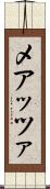 メアッツァ Scroll