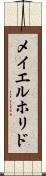 メイエルホリド Scroll