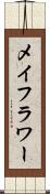 メイフラワー Scroll